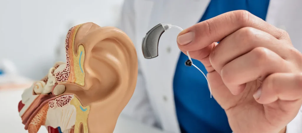 hearing aid